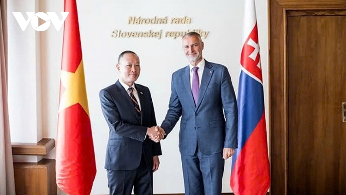 Vietnam highly values long-standing friendship with Slovakia